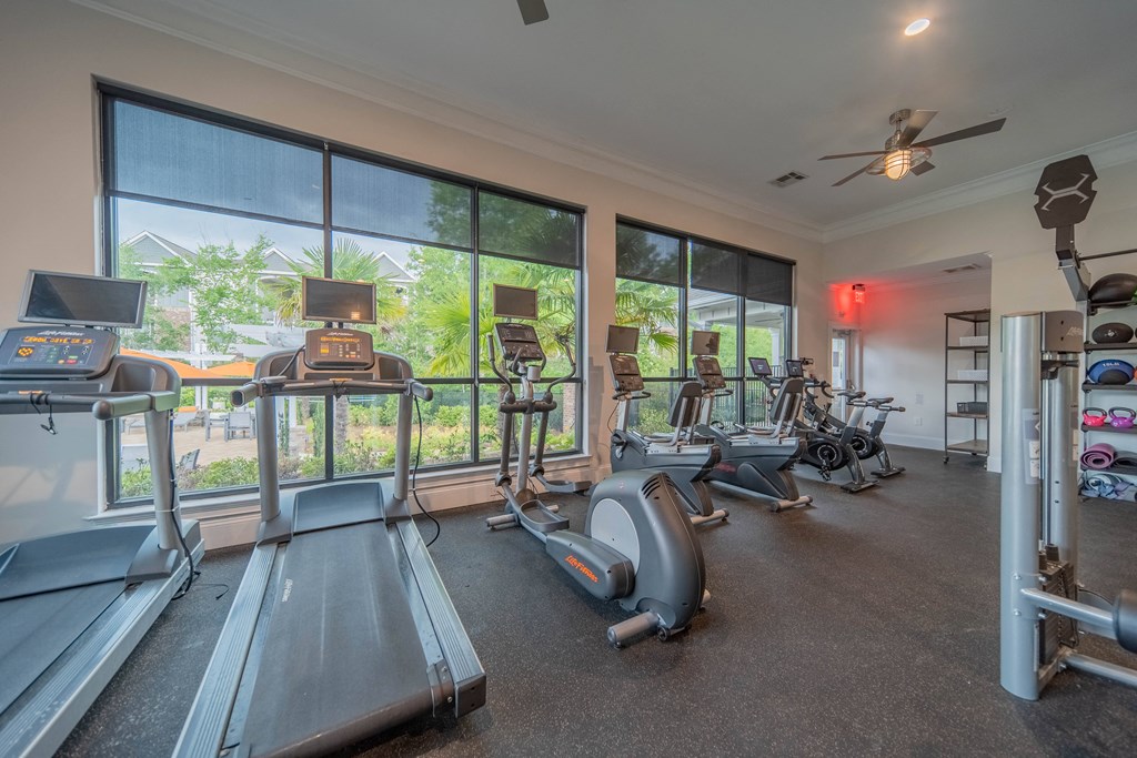 the gym has plenty of cardio equipment and large windows